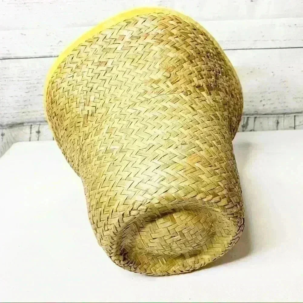 Woven Straw Vase Lined Planter Basket EUC